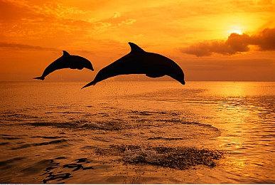 《葛叶雷道复刻版：超力兵团奇谭》新介绍预告发布 6月19日上线